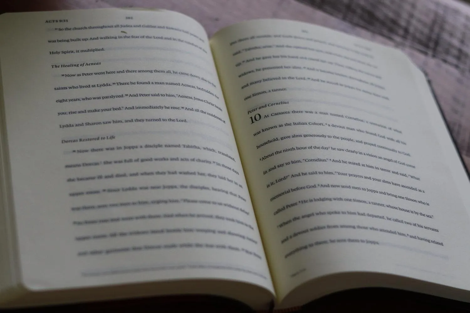ESV Journaling New Testament Inductive Edition