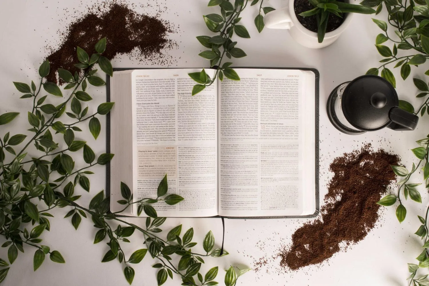 Parallel gospel passages laid out in a gospel harmony resource