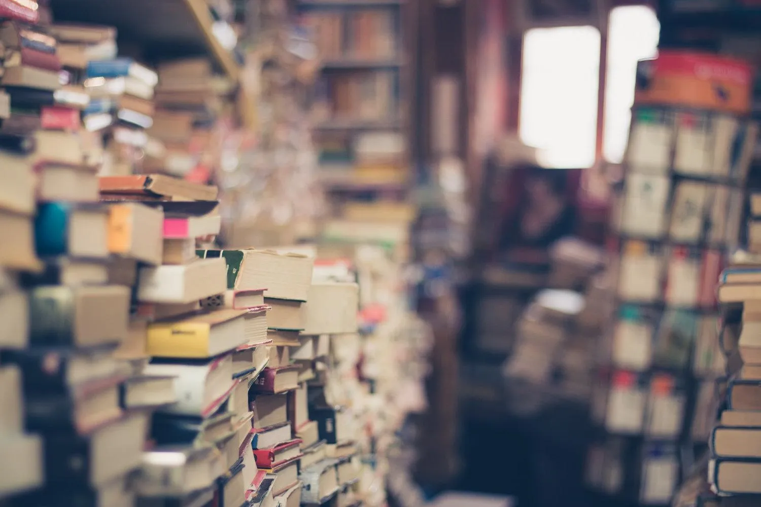 Shelf of Bibles and reference books forming a study library