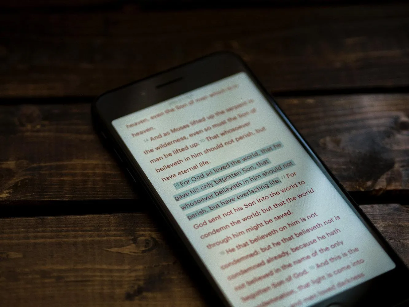 Bible app open on a mobile phone for on-the-go Bible study
