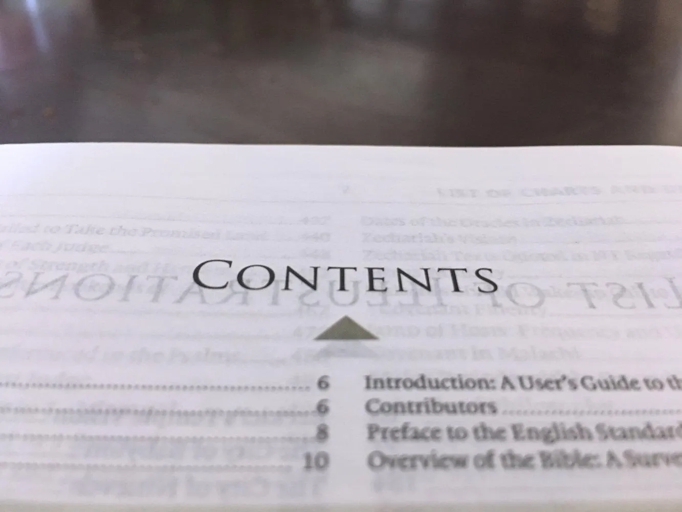 Bible's table of contents page showing its book listing