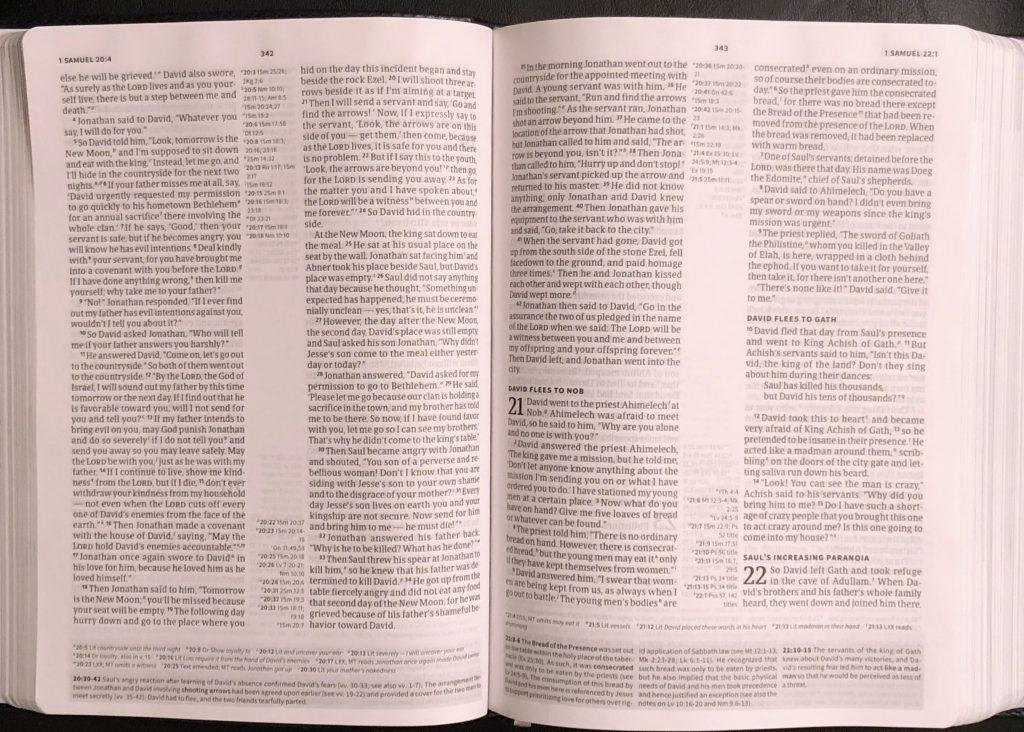 Minimal study notes in the Worldview Study Bible