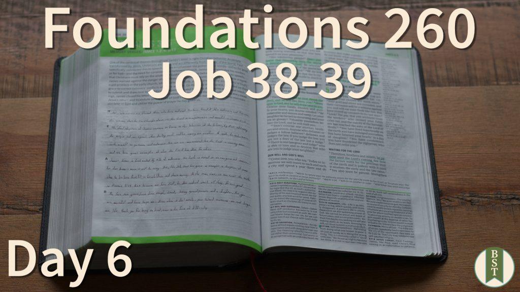 F260 Bible Reading Plan - Day 6