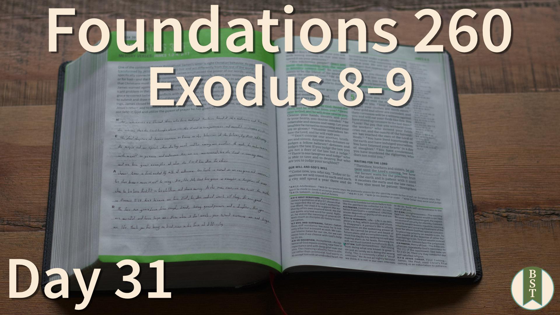 F260 Bible Reading Plan - Day 31