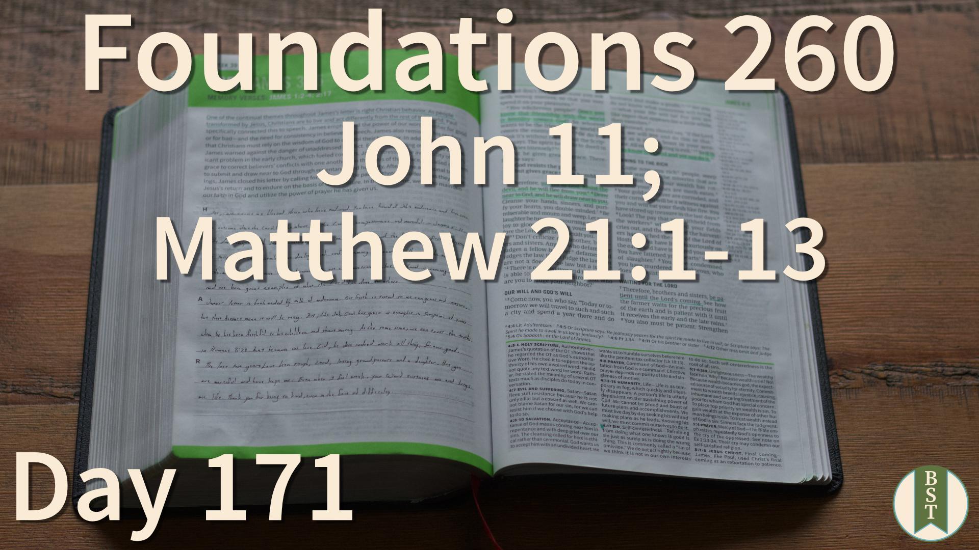 F260 Day 171: John 11; Matthew 21:1-13